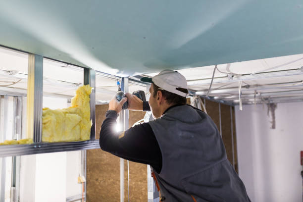 Best Fiberglass Insulation in Rochelle, IL