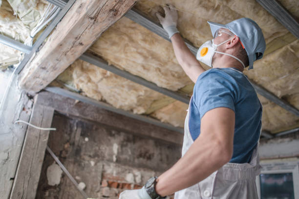 Best Energy Efficiency Insulation in Rochelle, IL