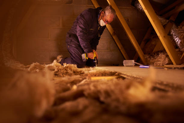 Best DIY Insulation Kits and Guidance in Rochelle, IL